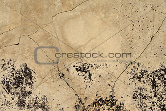 Old, cracked concrete surface