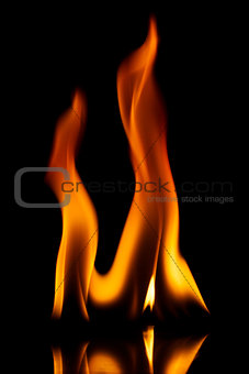 Fire flames  