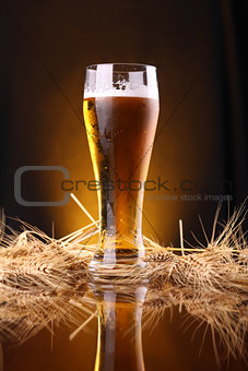 Glass of beer with barley ears