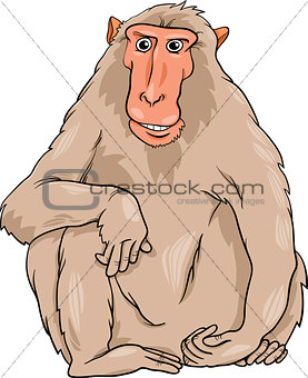macaquee animal cartoon illustration