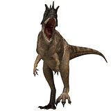 Ceratosaurus Dinosaur Profile