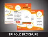 abstract tri fold brochure concept 