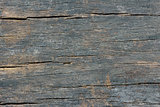 old  wood texture