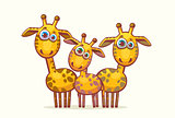 Cartoon giraffes. Animal family.