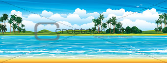 Tropical landscape with palms and sea