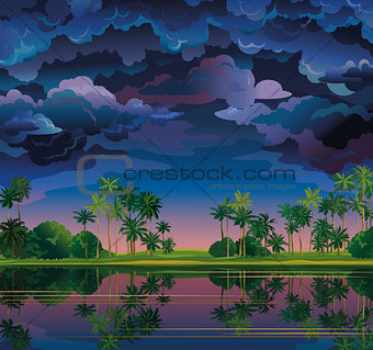 Tropical landscape with palm and stormy clouds.