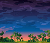 Night tropical landscape.