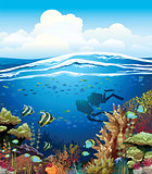 Coral reef and scuba divers.