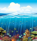 Coral reef with underwater creatures.