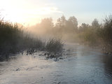 morning mist on the river 