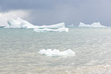Beautiful icebergs
