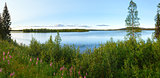Lake summer view (Sweden).