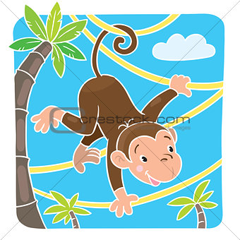 Little funny monkey
