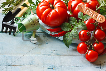 Kitchen garden tomatoes.