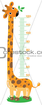 giraffe stadiometer (meter wall)