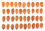 Almond nuts collection