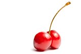 twin cherries with space for text 