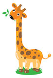 Cheerful giraffe