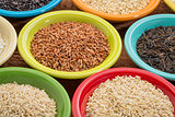 variety of rice grains