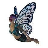 Fairy with blue wings