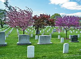 Arlington National Cemetery Spring 2010