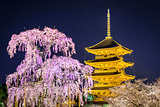 Todai-ji Pagoda in the Spring