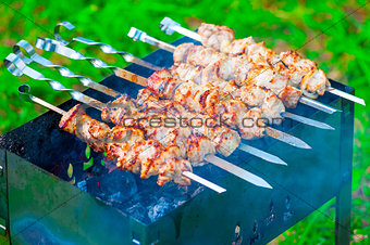appetizing grilled skewers on the grill