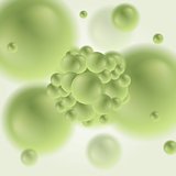 Vector design of green molecule