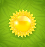 Abstract sun on green leaves texture, eco friendly background