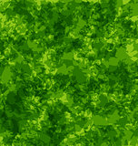 Abstract grunge background, green texture