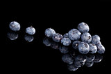 Blueberries isolated on black.