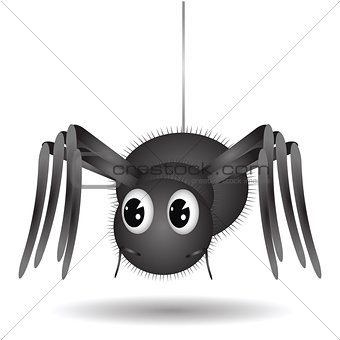 Cartoon Spider 