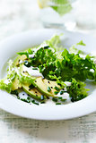Avocado and Endive Salad with Yogurt Dressing