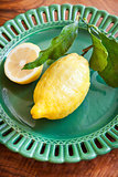 Fresh large lemon