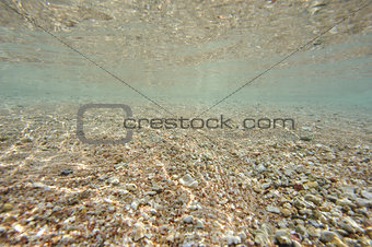 Underwater scene in shallow lagoon