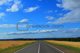Road in a field