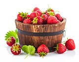 Fresh strawberry in wooden bucket with green leaf