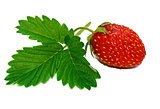 Strawberry with leaf isolated