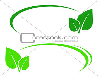 background with leaf and line