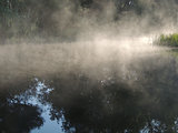 morning mist on the river 