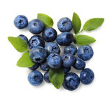 Natural picked blueberries isolated