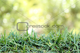 Green Lawn turf abstract background 