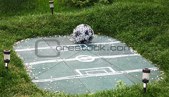 Landscape decoration football field with ball of flowers