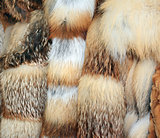 Row of fur coats of different colors