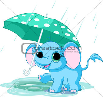 Cute baby elephant under umbrella