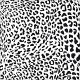 Leopard fur black