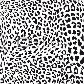 Leopard fur black