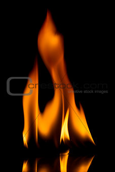 Fire flames   