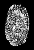  fingerprint
