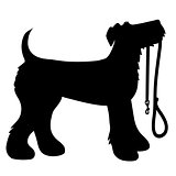 AIredale Terrier Leash